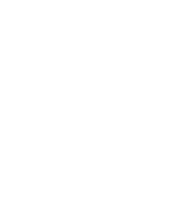 Logo Luminum